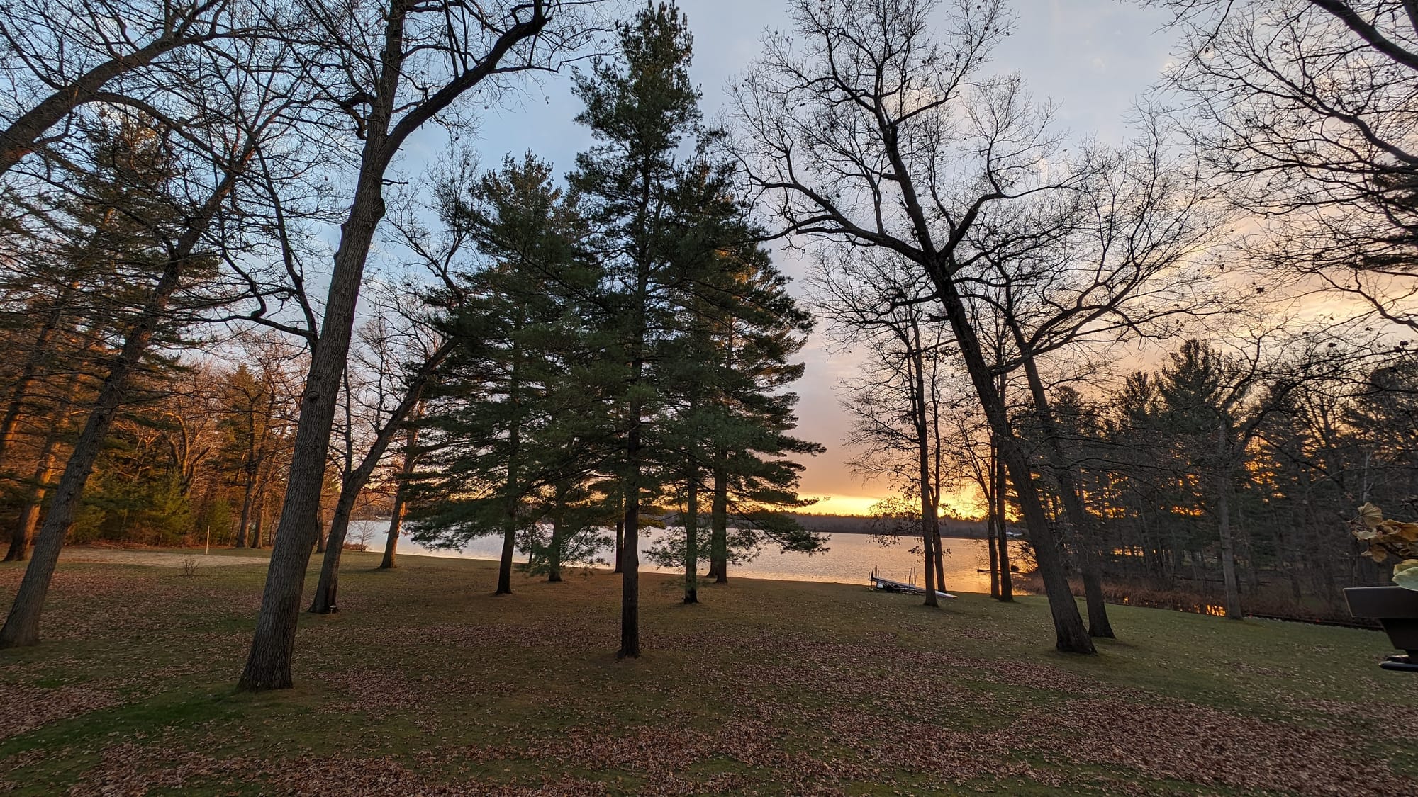 a backyard view of trees, fallen leaves, with a sunset view of the lake