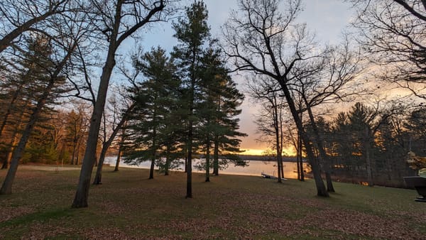 a backyard view of trees, fallen leaves, with a sunset view of the lake 